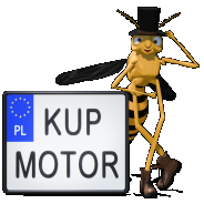 main logo